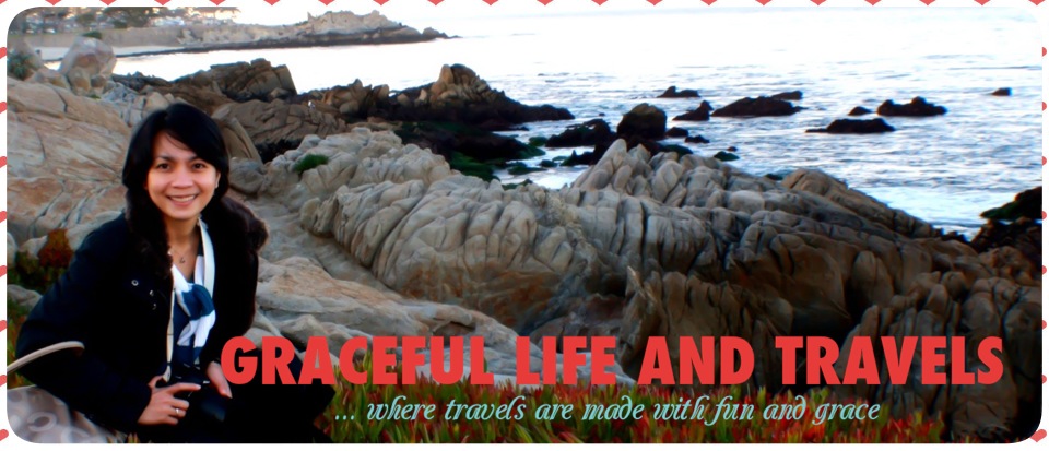 The Graceful Life And Travels