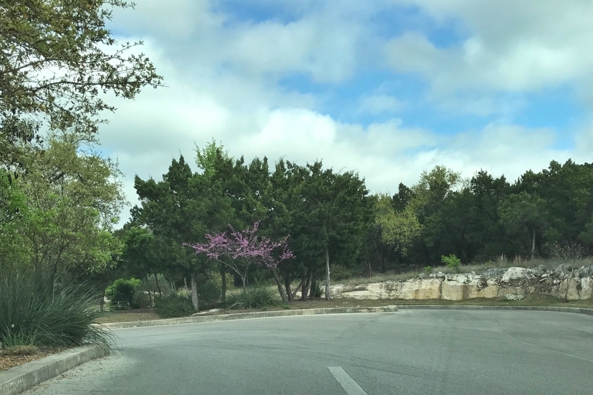 San Antonio Real Estate Blog Rogers Ranch