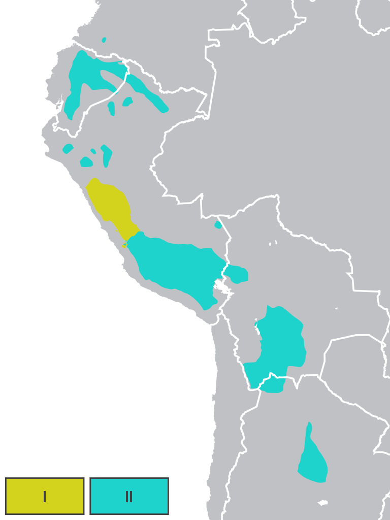 Distribución geográfica del qichwa por grandes grupos dialectales