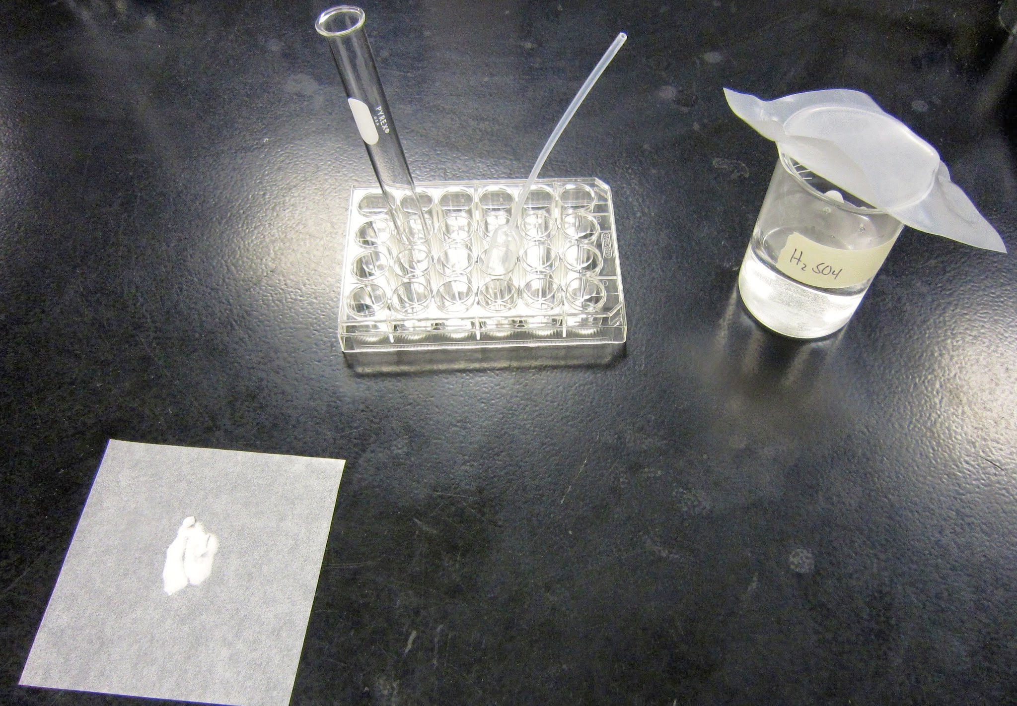 Amy Brown Science Chemistry Lab Percent Composition