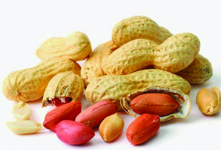 Traditional Indian food FOOD THAT IS HEALTHY AND HARMFUL(3)PEANUTS