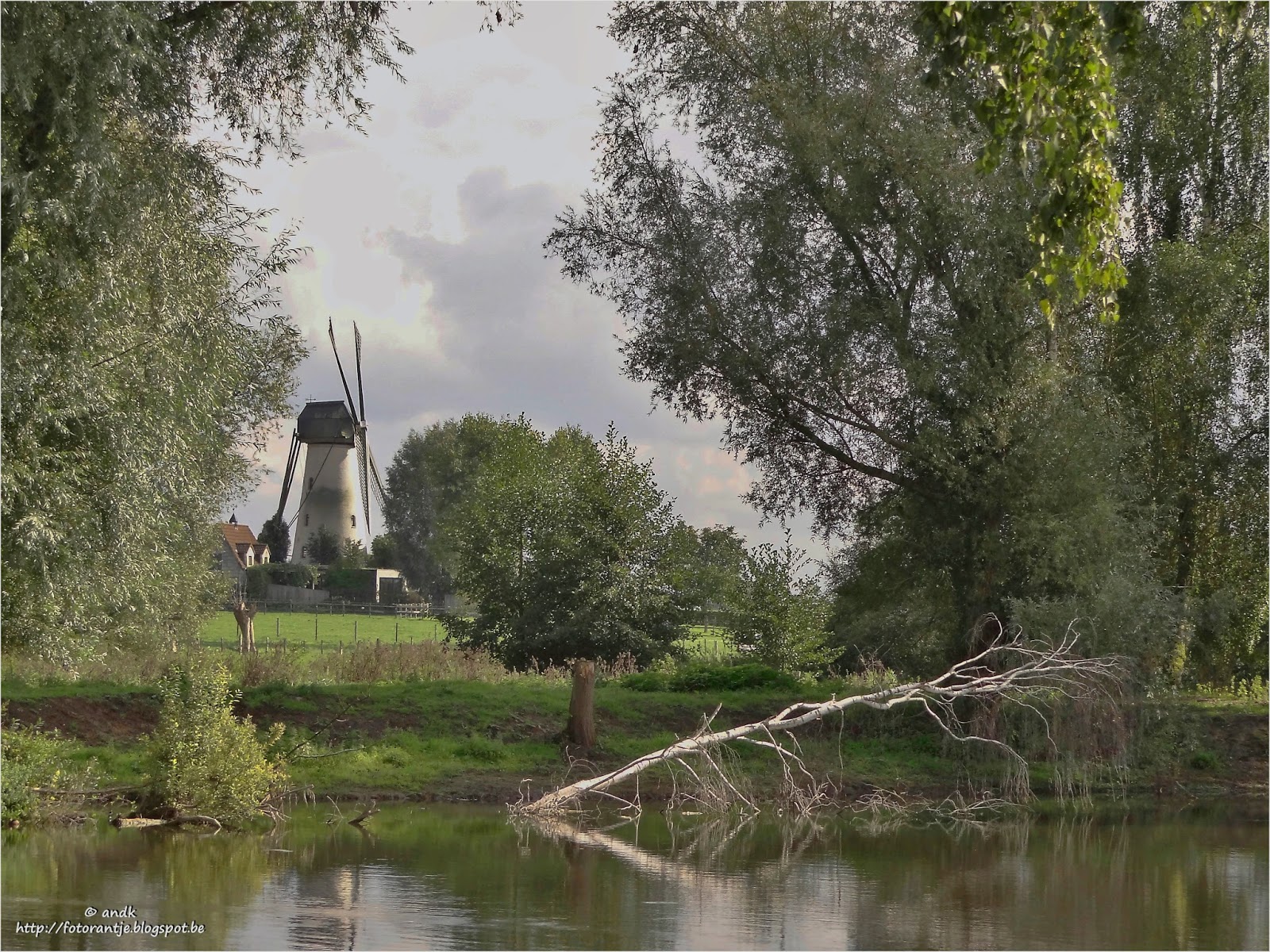 fotorantje oude kale