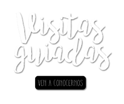 VISITAS GUIADAS CONCERTADAS