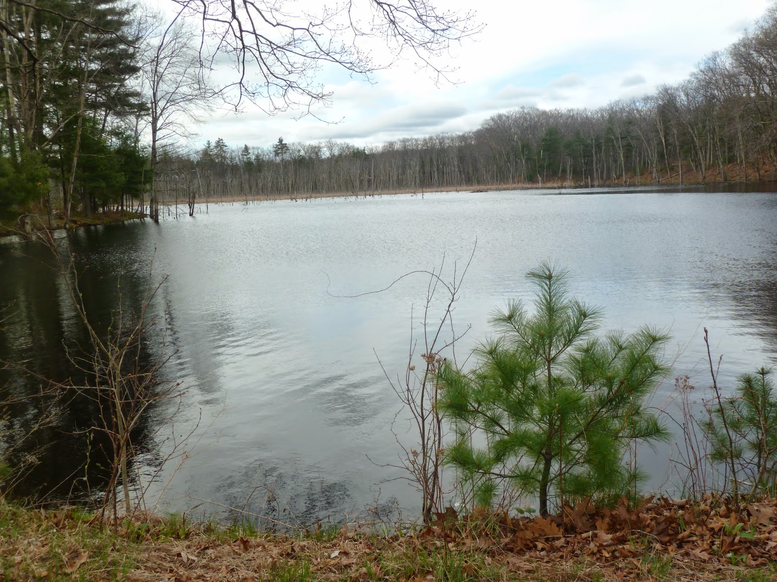 Belchertown Environment, Science and Technology The BEST of Lake