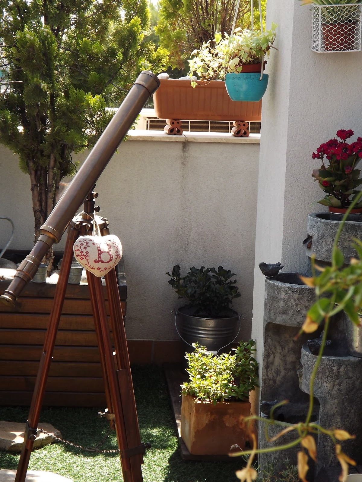 Un vergel en la ciudad: Mi elegante telescopio