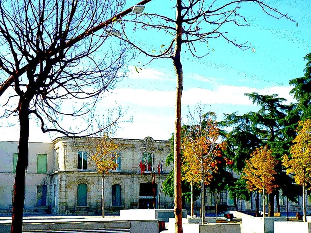 Real Fábrica Paños plaza España 2014