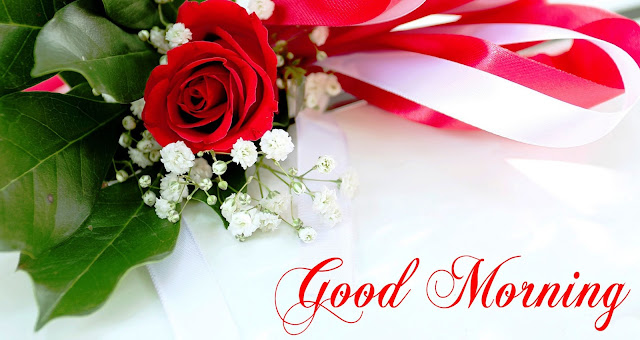 good morning flowers hd good morning flowers hd