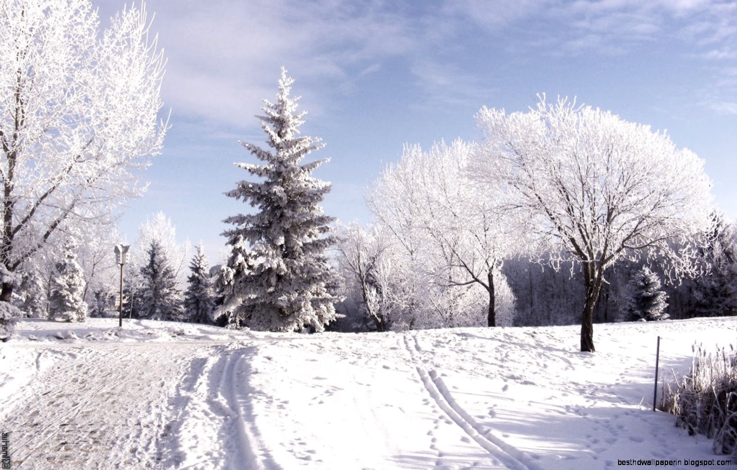 Nature Snow Computer Background Wallpaper  Background Download