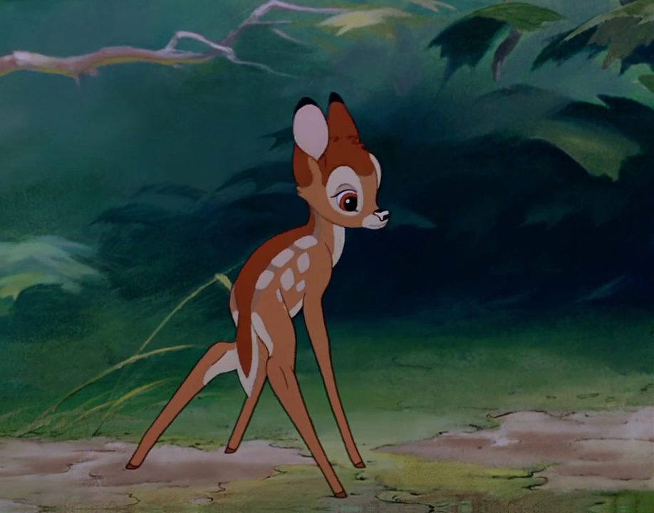 Bambi wilde