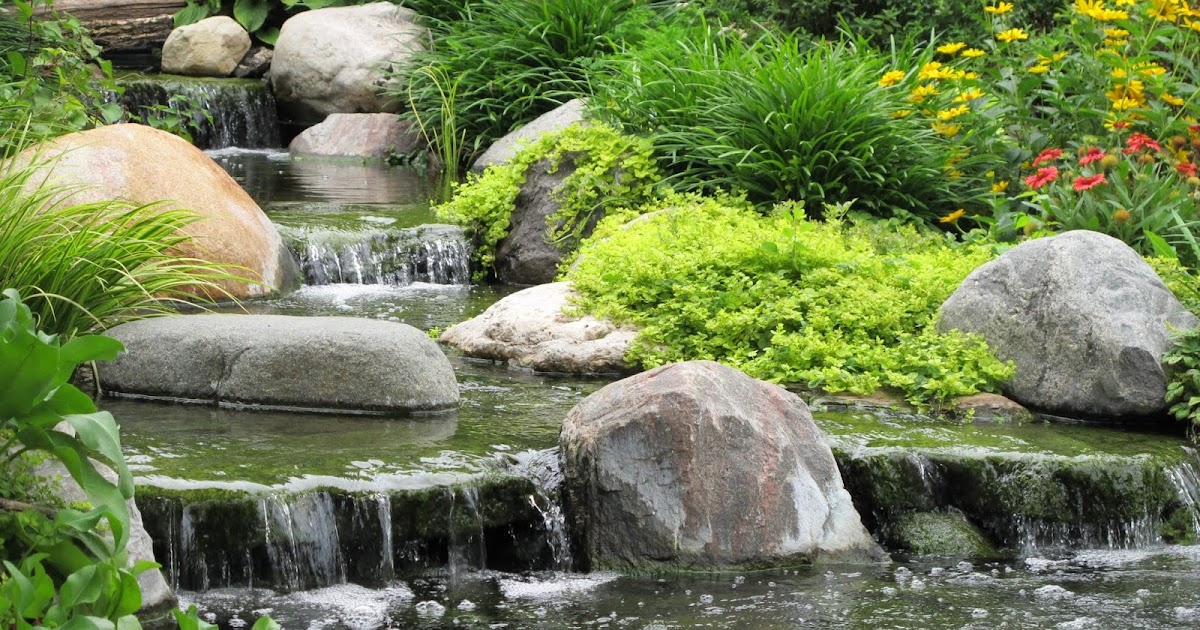 Benefits of Adding a Creek to Your Pond