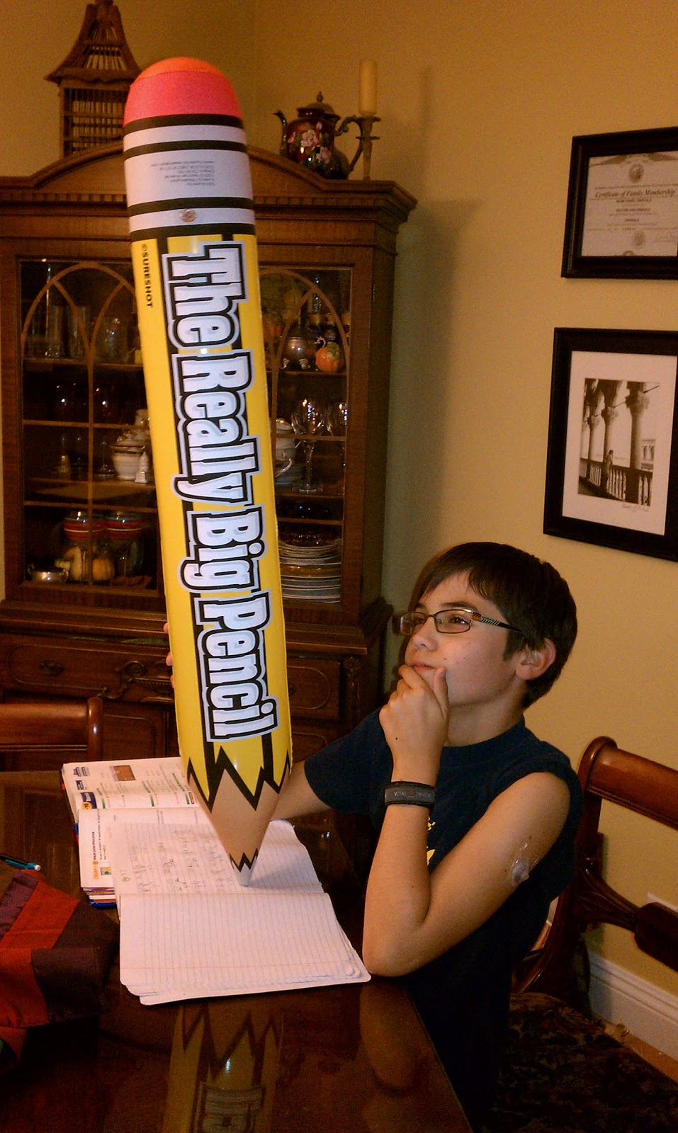 Shiny homework picture