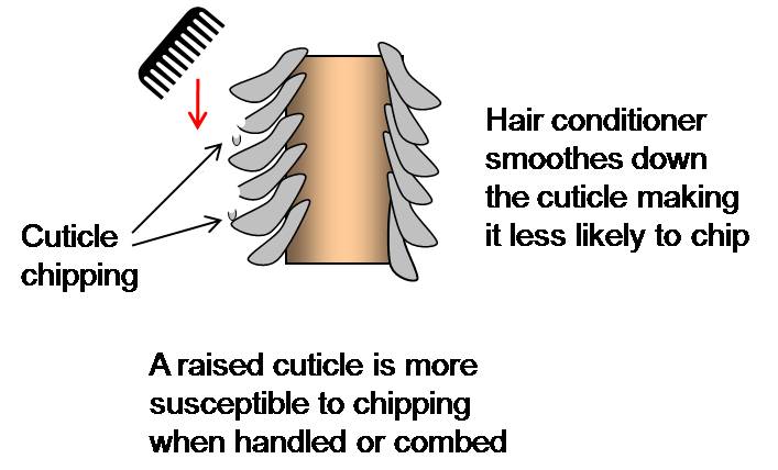Junk Science: Opening the Hair's Cuticle for Better Deep Conditioning