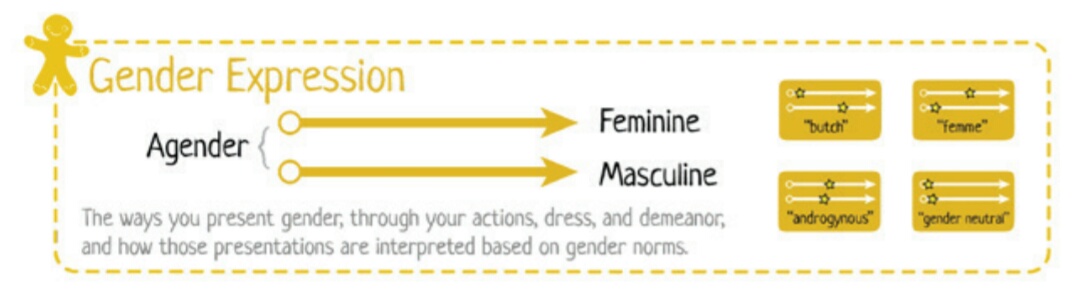 Люди разных гендеров. Gender expression. Gender expression. Gender expression. Виды половых ориентаций.