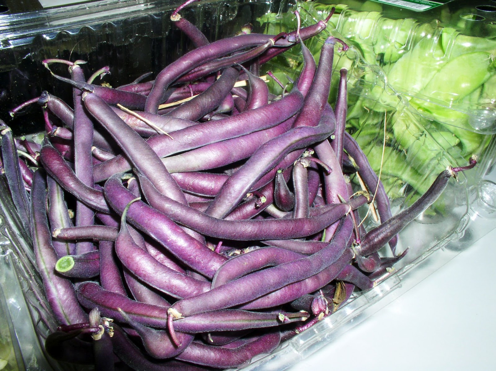 RCS Giving Garden Purple beans? Preposterous!