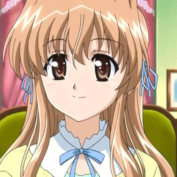 Romance Anime Database: Nogizaka Haruka no Himitsu
