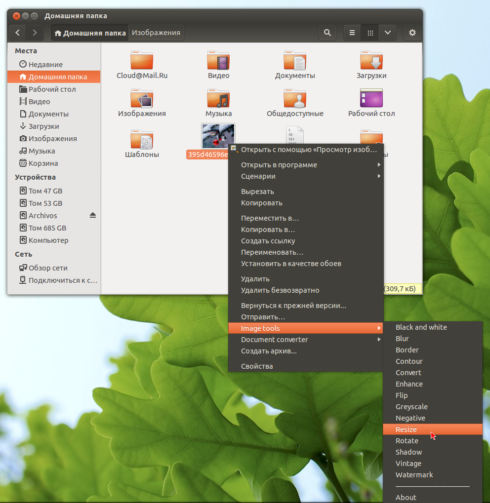 Файловый менеджер убунту. Nautilus ubuntu. Nautilus ubuntu. Файловый менеджер ubuntu. Наутилус файловый менеджер.