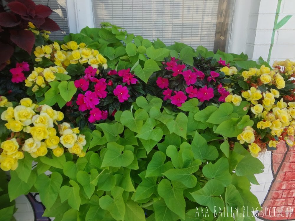 Windowsill flowerbed with pink and yellow flowers