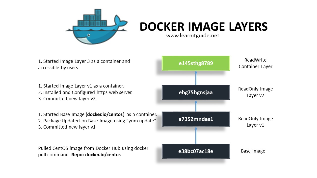 Docker Images Explained with Examples - Docker Tutorial