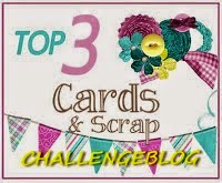 cards and Srap challengeblog