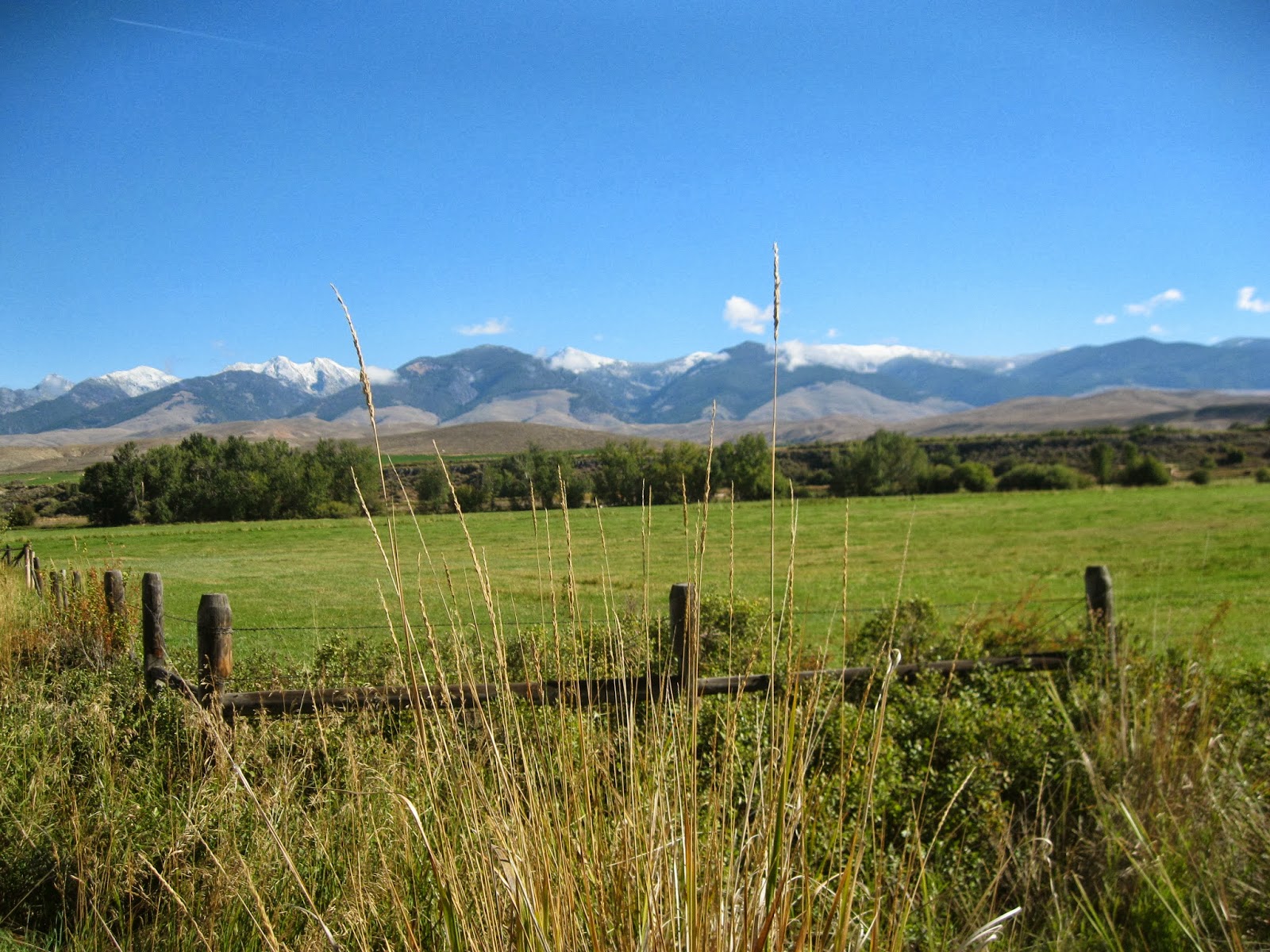 Wind Songs Salmon Idaho Part 1