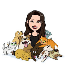 Ekim Ayı Kazananı Ekim Ayı Kazananı