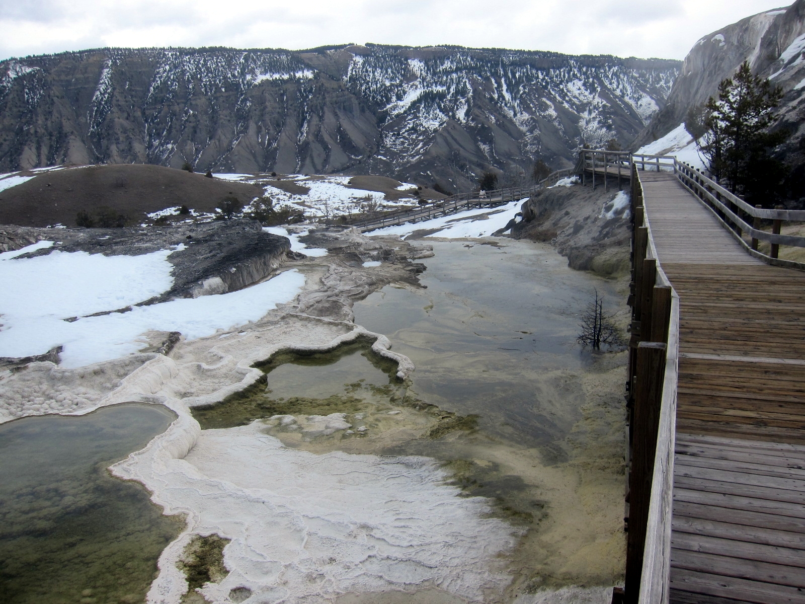 Yours in... 718 Exploring Yellowstone Mammoth Hot Springs