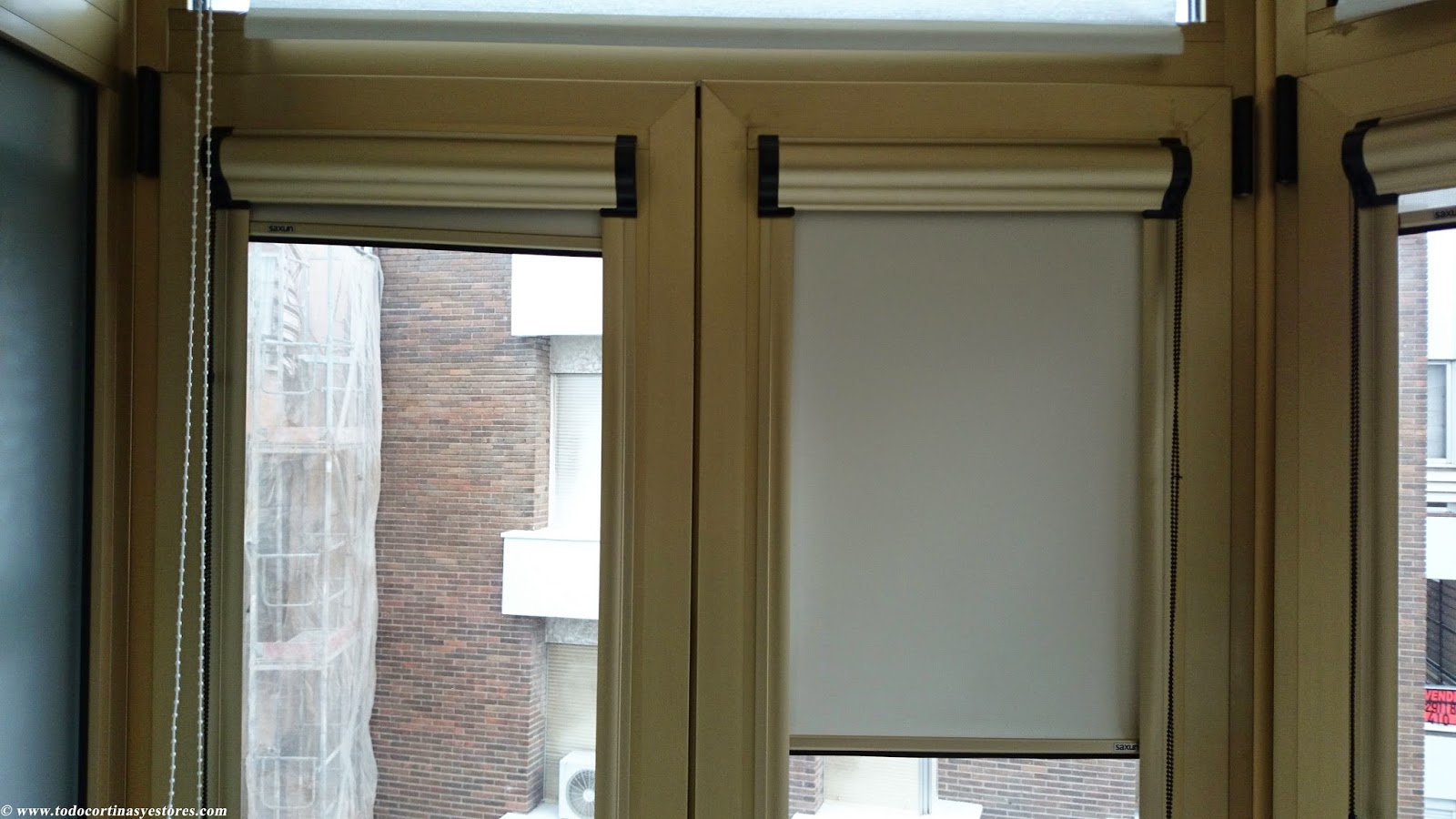 Estores Enrollables Screen Guiados con Cofre y guias laterales dorados