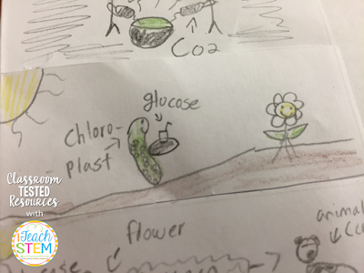 Teachers can help students remember the important steps by having them create scientific drawings. By developing their own visual representations, students are able to demonstrate their understanding of a complex idea.