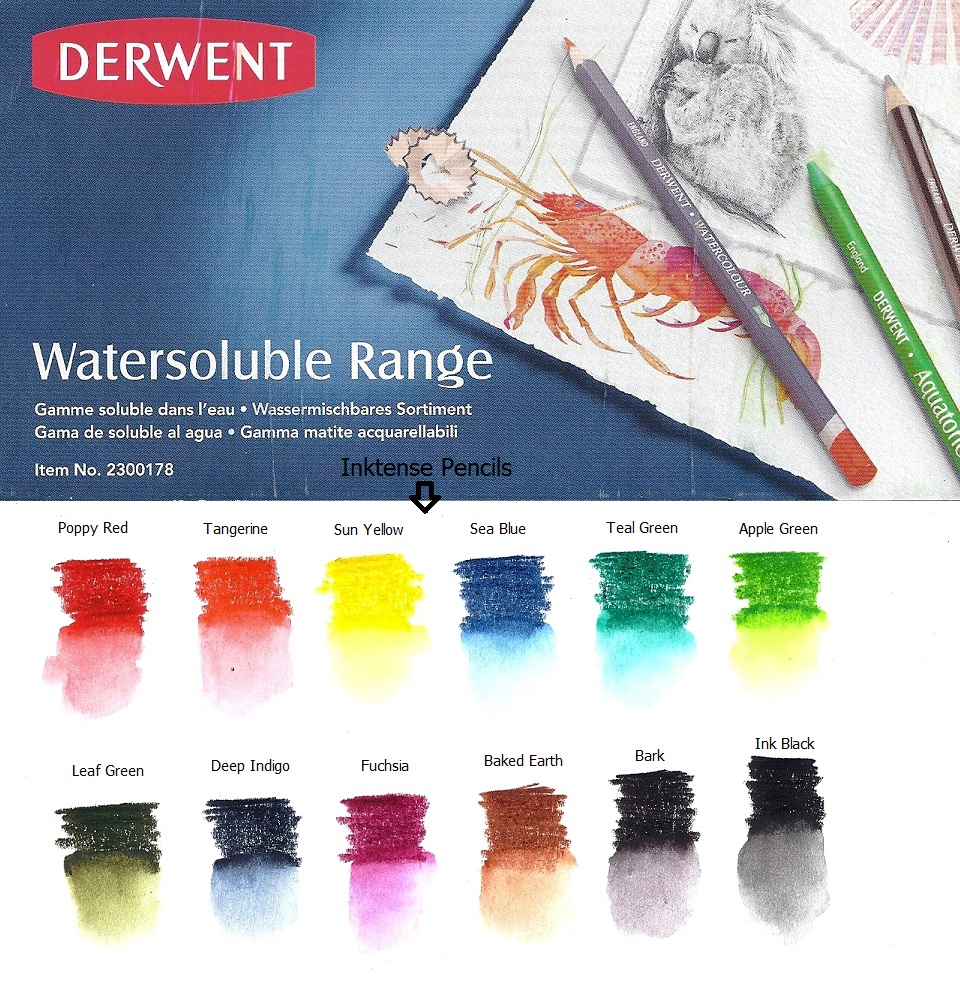 DAVID WASTING PAPER Derwent Art Supplies Review