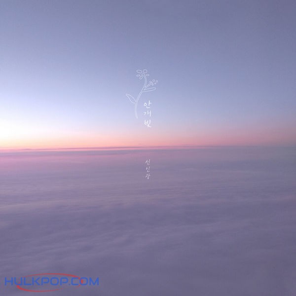 cactus – Mistylight – Single