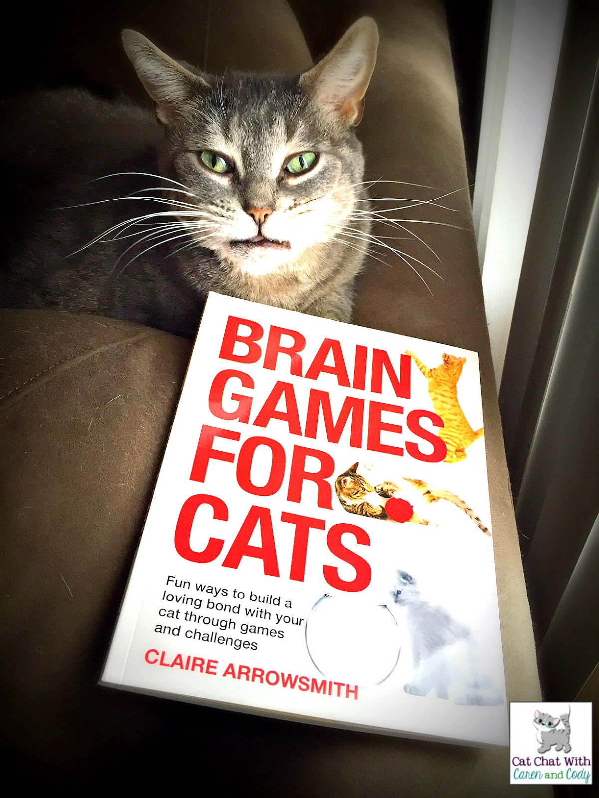 Cat and DOG Chat With Caren BookBrain Games for Cats by Claire Arrowsmith (GiveAway!)