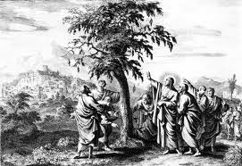 Debunking Christianity: Jesus Behaving Badly: The Fig Tree Incident