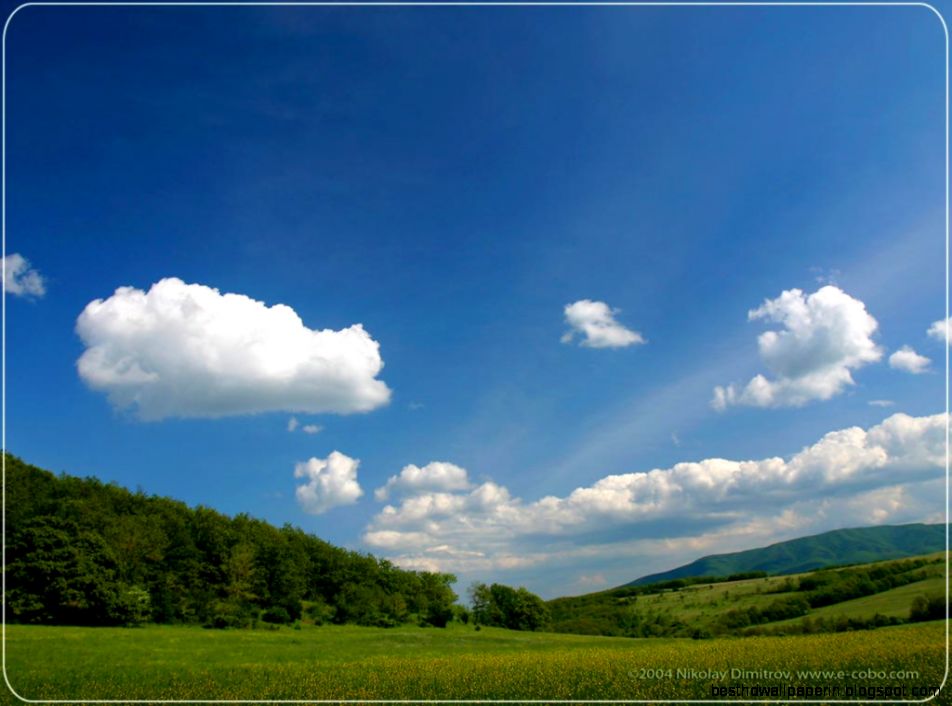 Free Landscape Photos as Background