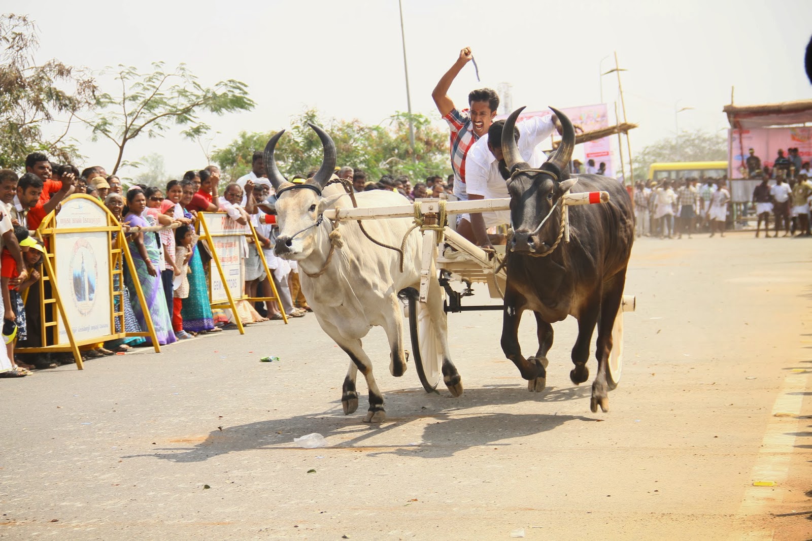 Meenakshi Sundaram: Bringing Rekla Race back to Coimbatore City