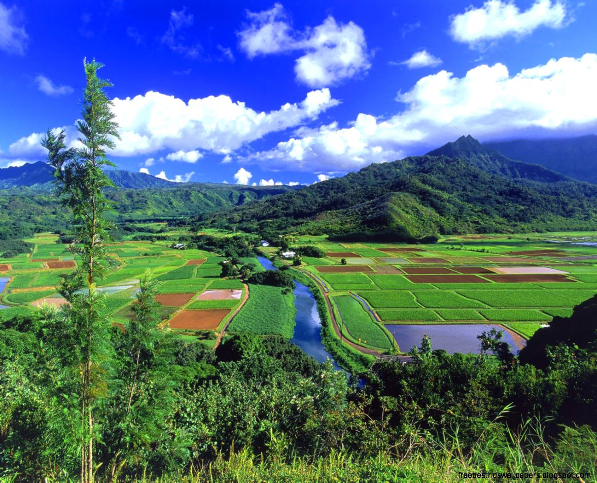 World Landscape wallpapers Collection Vol2 1280x1024 NO24