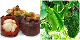 Penyebab, Gejala serta Akibat Benjolan Di ketiak Penyebab, Gejala serta Akibat Benjolan Di ketiak