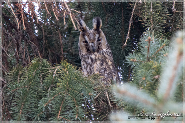 IMG_5868-1.jpg IMG_5868-1.jpg