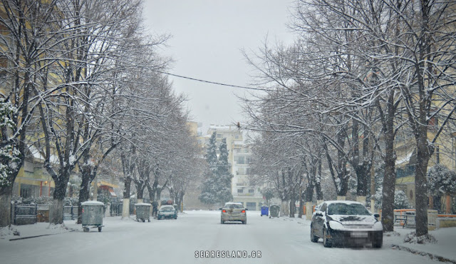 ΕΙΔΗΣΕΙΣ, ΣΕΡΡΕΣ, ΕΒΡΟΣ, ΜΑΚΕΔΟΝΙΑ, ΧΙΟΝΙΑ, ΑΠΑΓΟΡΕΥΣΗ ΚΥΚΛΟΦΟΡΙΑΣ, 