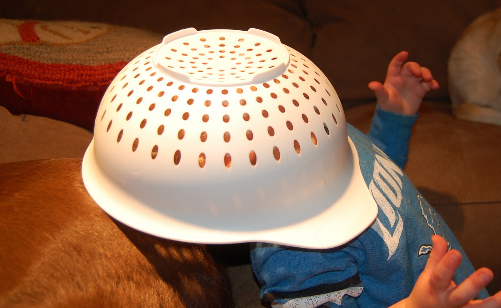 Our Becker Blog Colander Hat