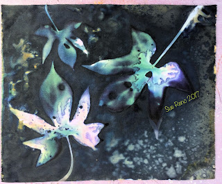 Wet Cyanotype_Sue Reno_Image 162