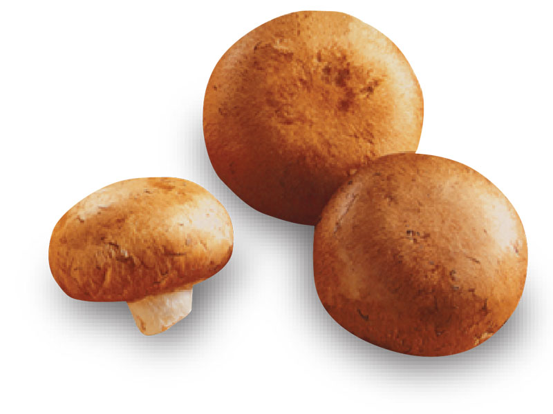 La dicha de cocinar Salsa de hongos