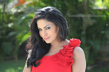 Veena Malik  Wallpapers