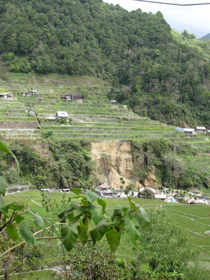 What not to do when travelling: Hapao's Rice Terraces