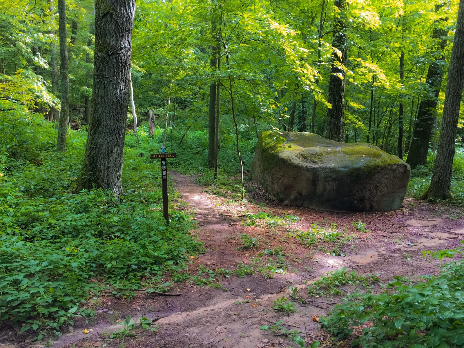 Hiking the Ice Age Trail Hartman Creek Segment