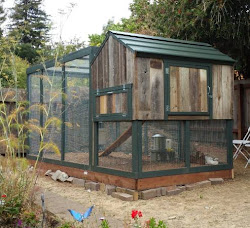coop run chicken area cod cape bay chickens metal roof 1425 sf