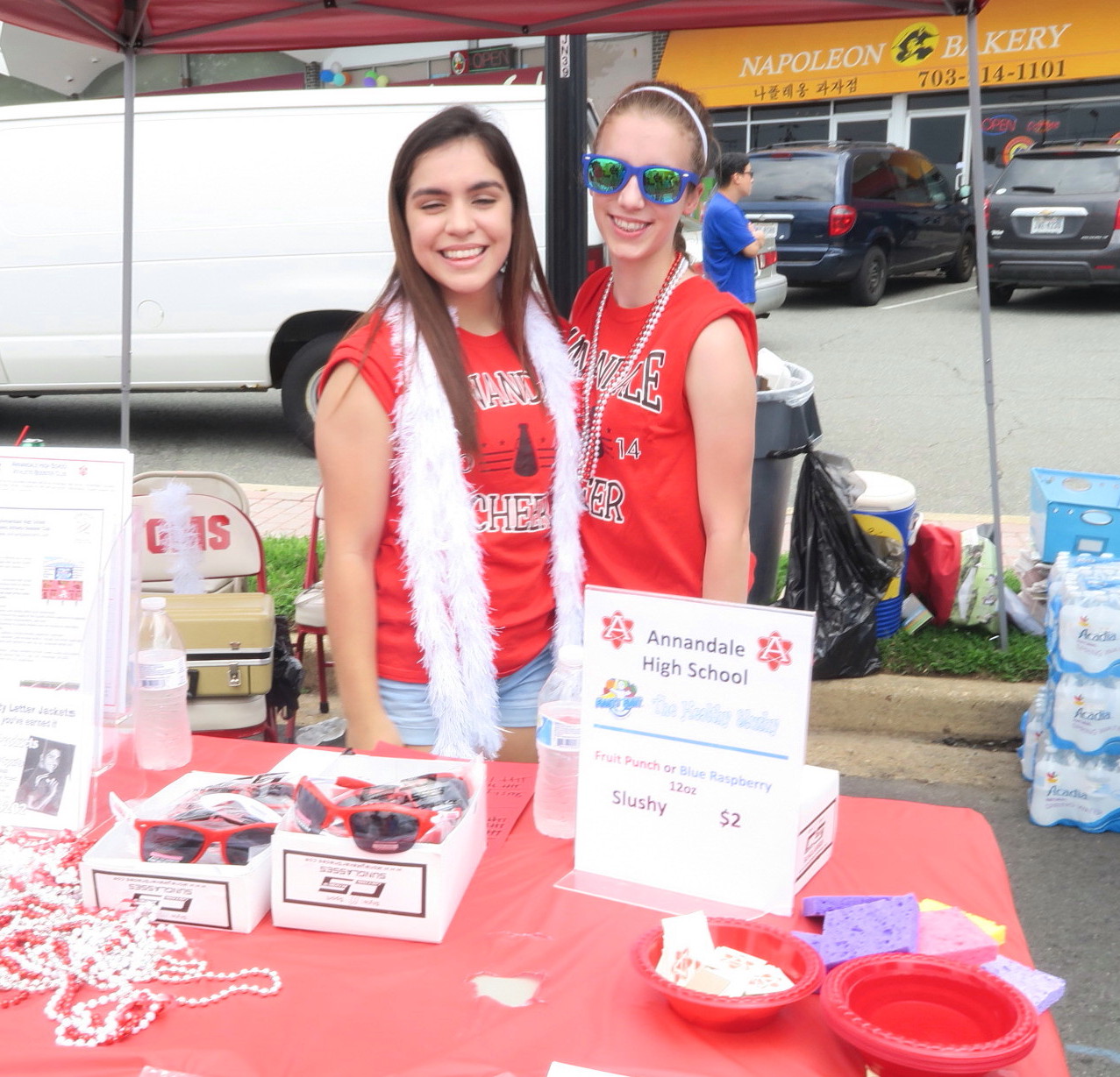 the Annandale Blog: ToA 2015