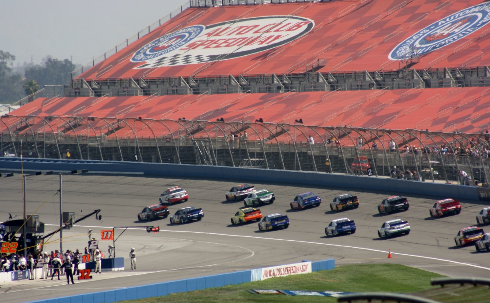 Haddock in the Paddock