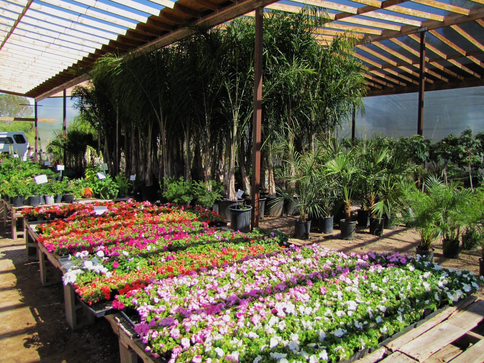 Las Aventuras Green Things