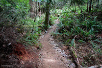 The John Tursi Trail