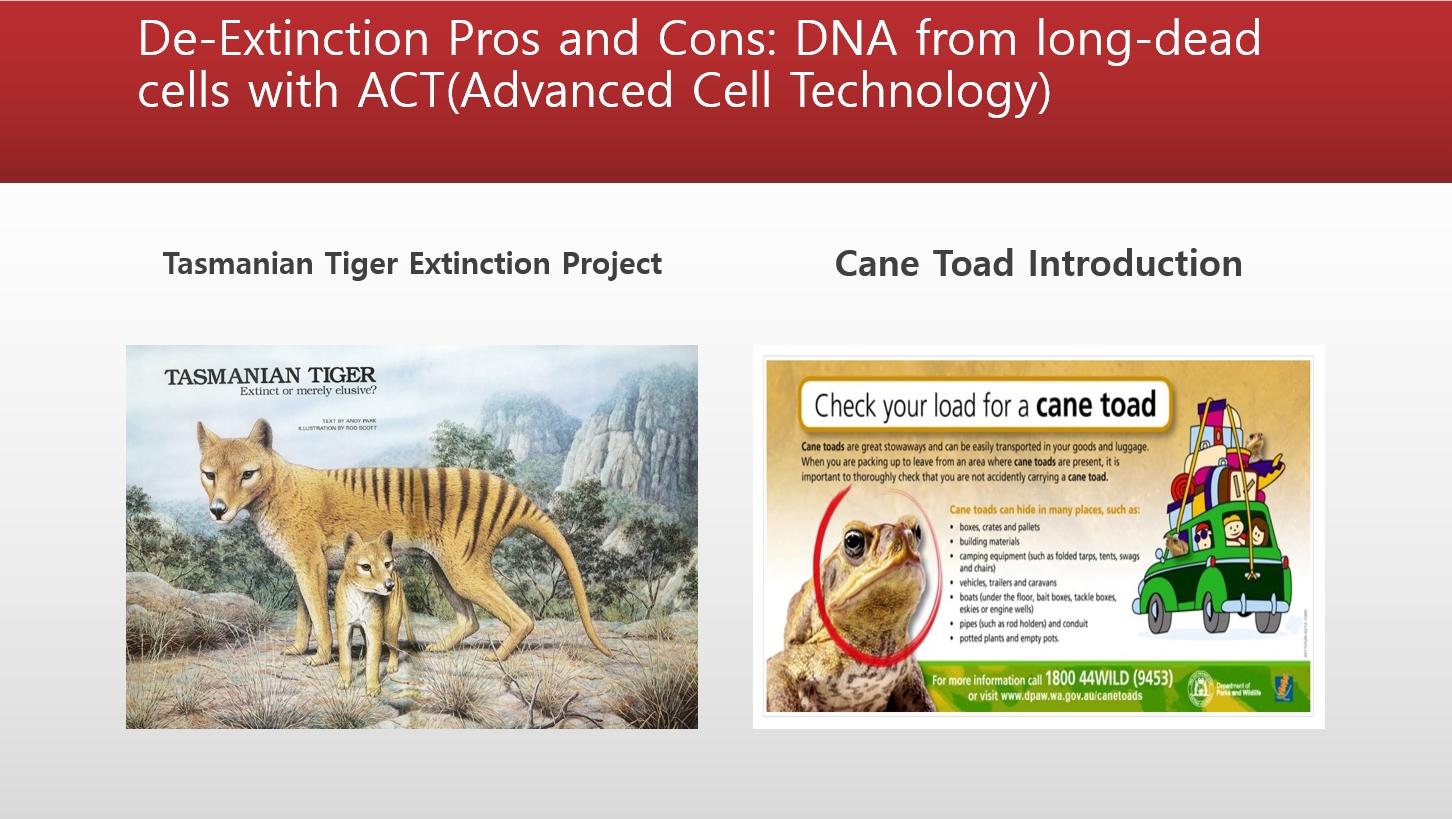 English is my true lifelong fluency project! Summary 18 Tasmanian